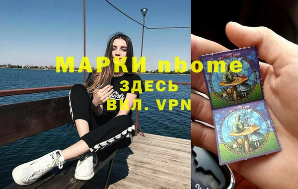 хмурый Алексин
