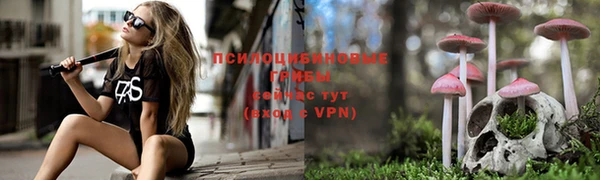 хмурый Алексеевка