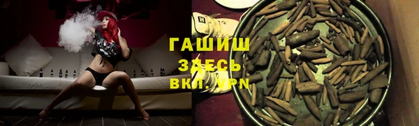 хмурый Алексин
