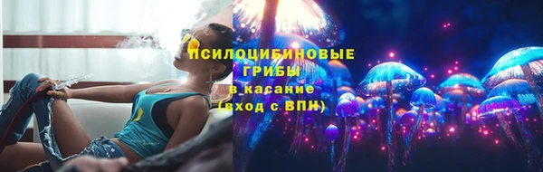 соль ск Алзамай