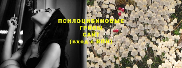 соль ск Алзамай